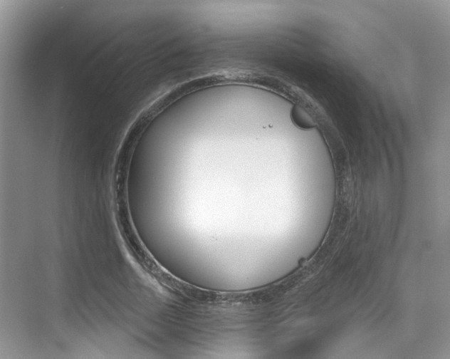 X0000076040730200609220918