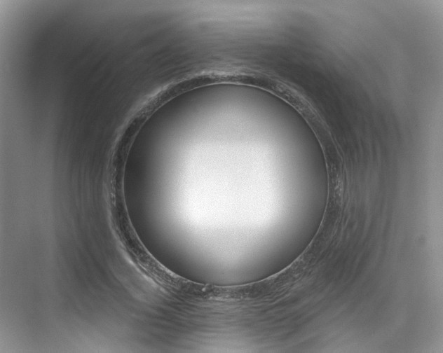 X0000076040732200609220918