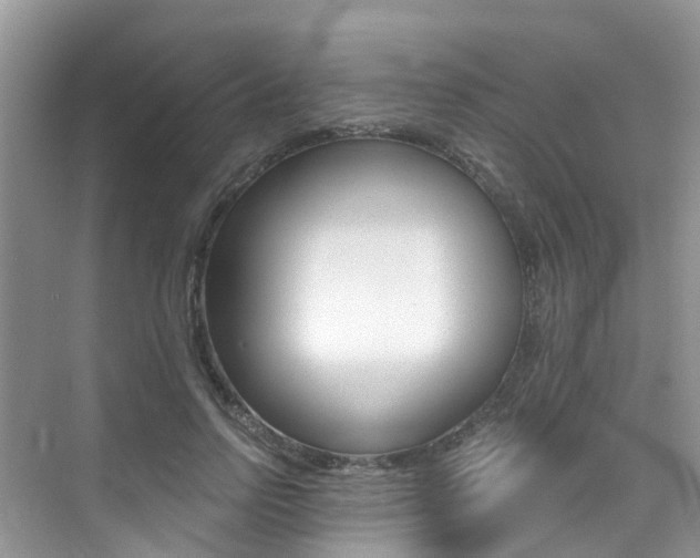 X0000076040742200609220918