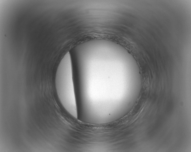 X0000076040749200609220918