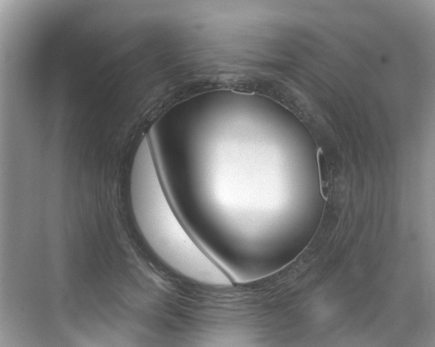 X0000076040750200609220918