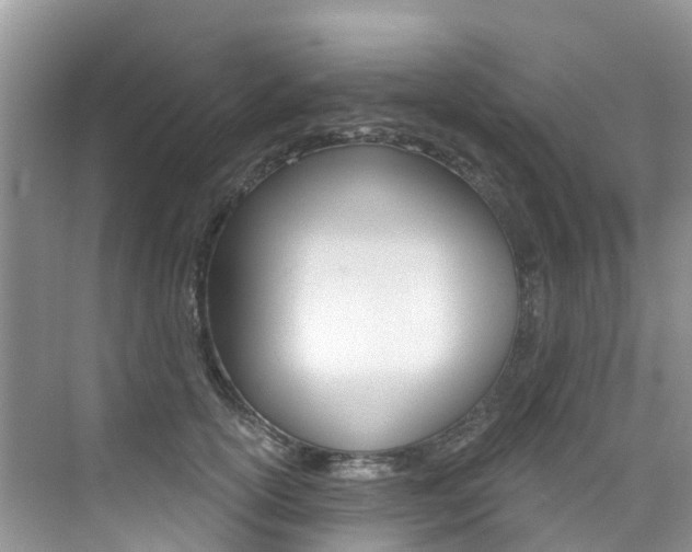 X0000076040754200609220918