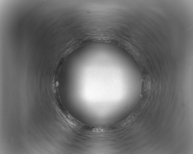 X0000076040764200609220918