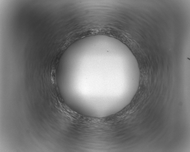 X0000076040770200609220918