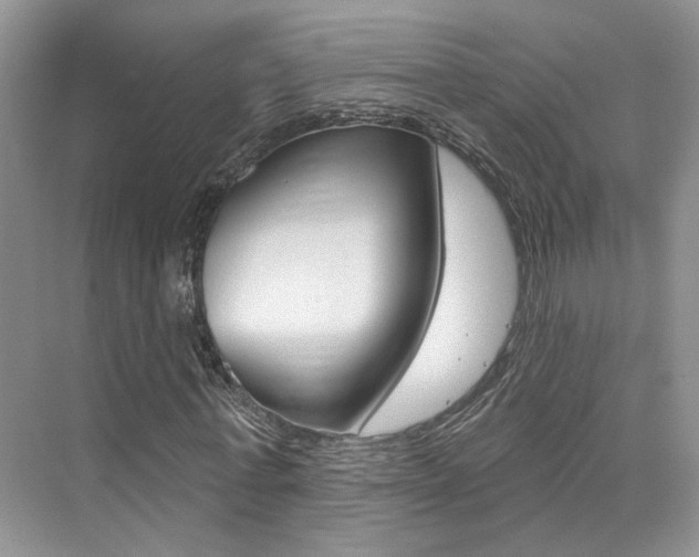 X0000076040771200609220918