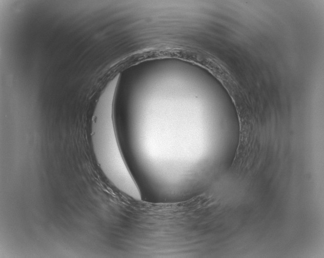 X0000076040773200609220917