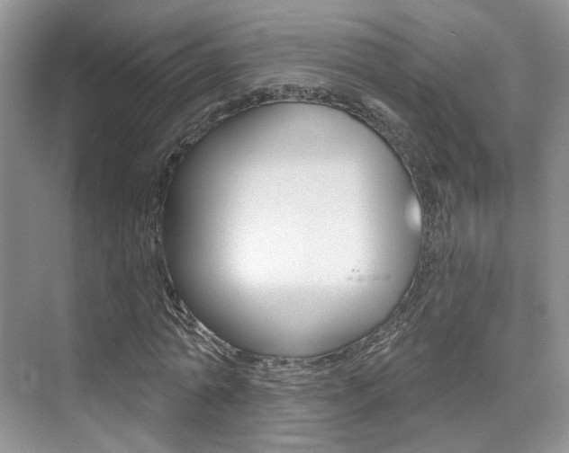 X0000076040774200609220917