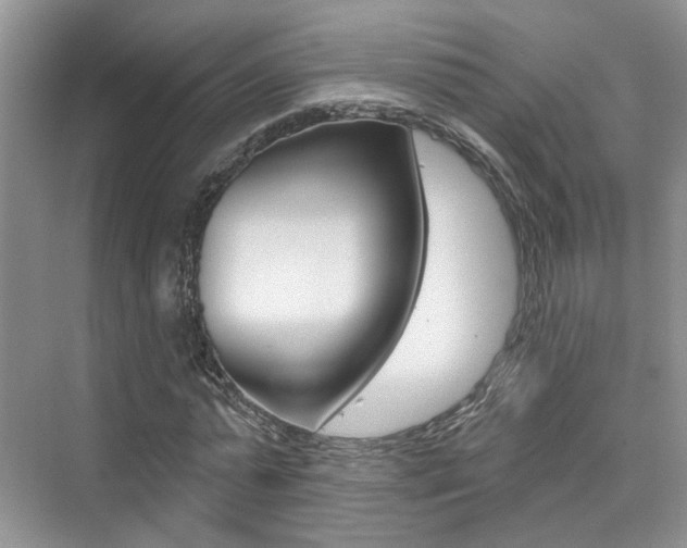 X0000076040775200609220917