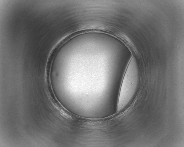 X0000076040780200609220917