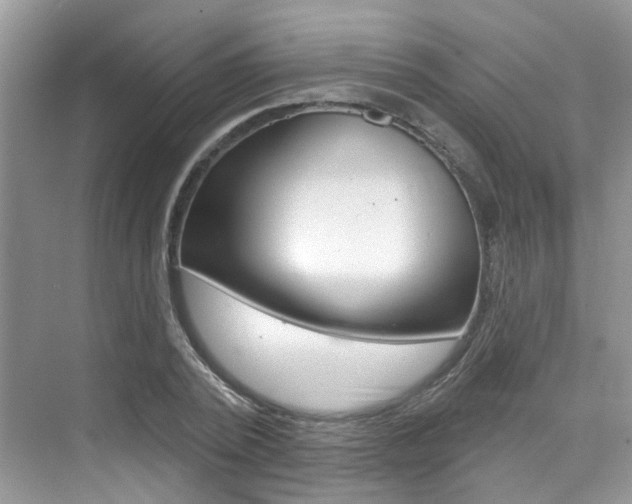 X0000076040784200609220917