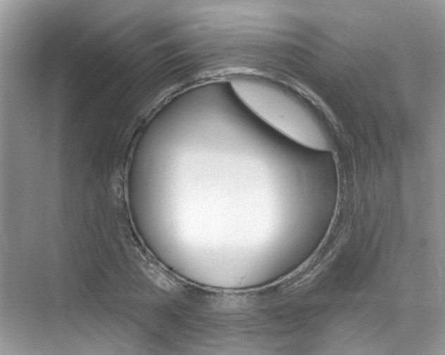 X0000076040785200609220917