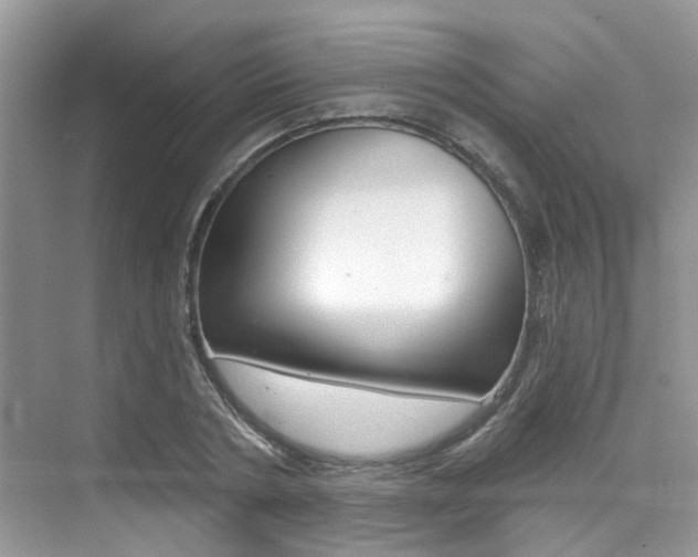 X0000076040786200609220917