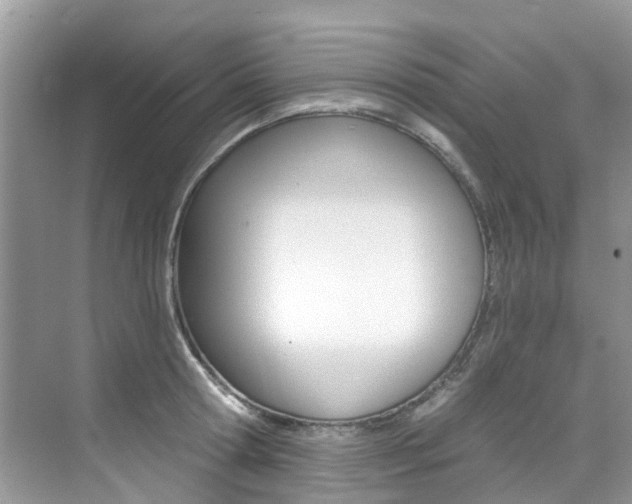 X0000076040802200609220917