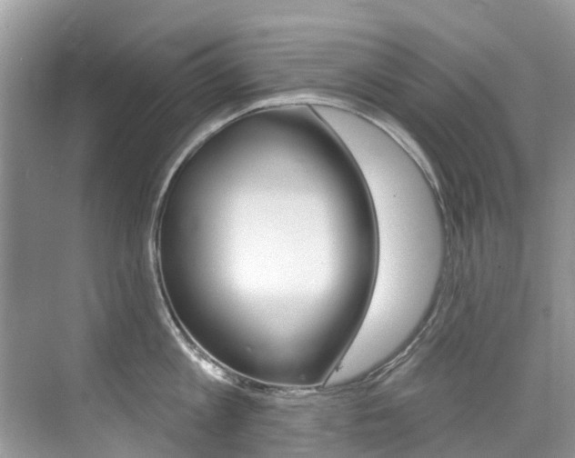 X0000076040813200609220917