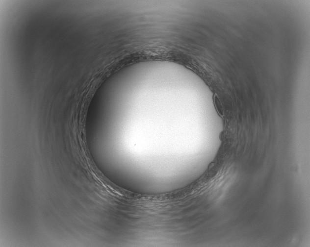 X0000076040817200609220916