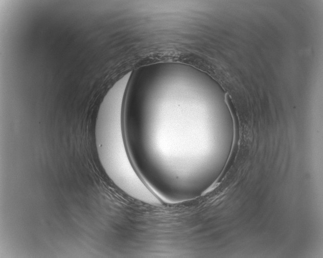 X0000076040818200609220916