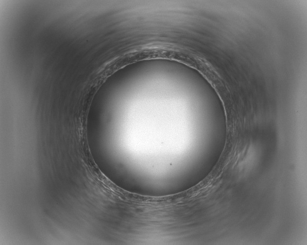 X0000076040821200609220916