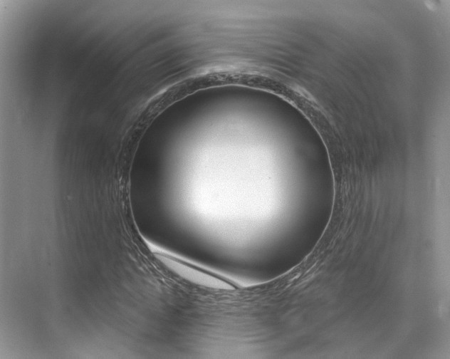 X0000076040822200609220916