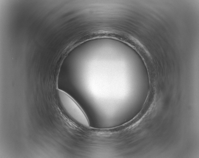 X0000076040825200609220916