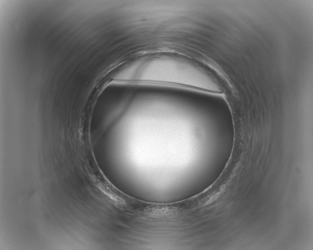 X0000076040826200609220916