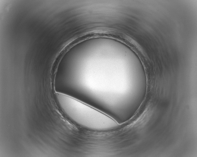 X0000076040829200609220916