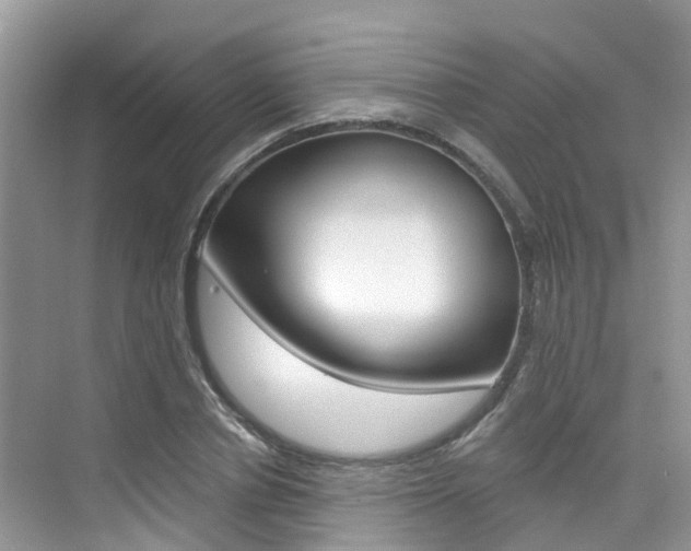 X0000076040834200609220916