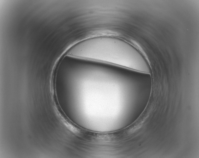 X0000076040843200609220916