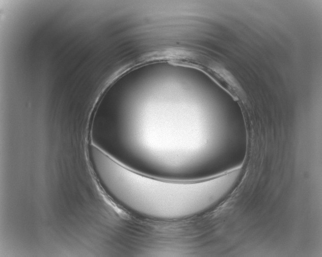 X0000076040850200609220916