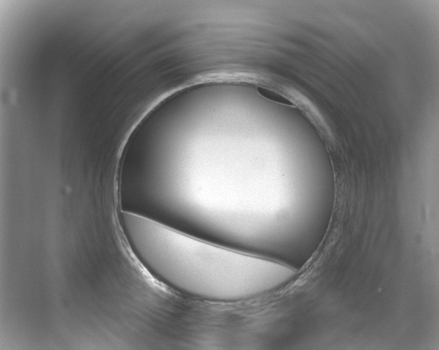 X0000076040852200609220917