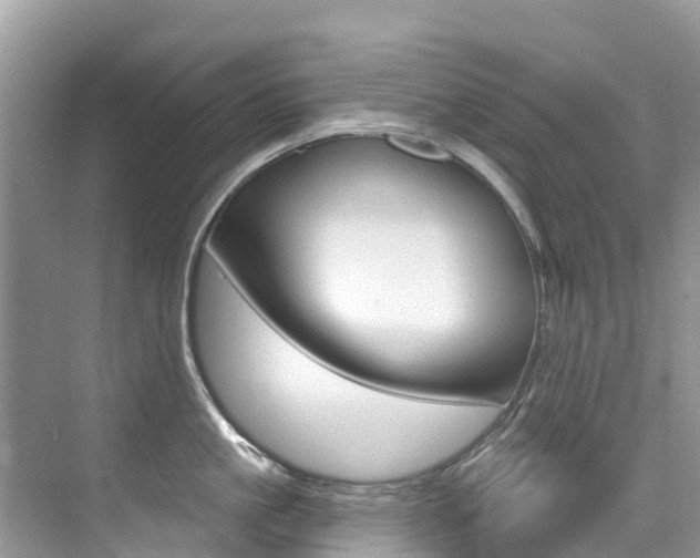 X0000076040861200609220917