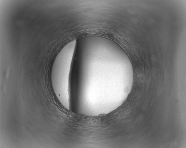 X0000076040865200609220916