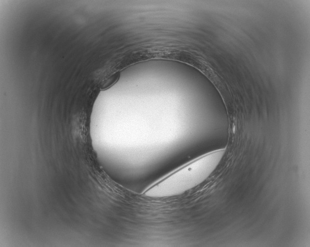 X0000076040867200609220916