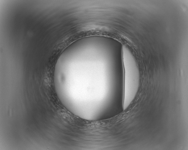 X0000076040869200609220916