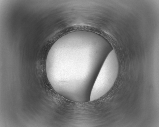 X0000076040870200609220916