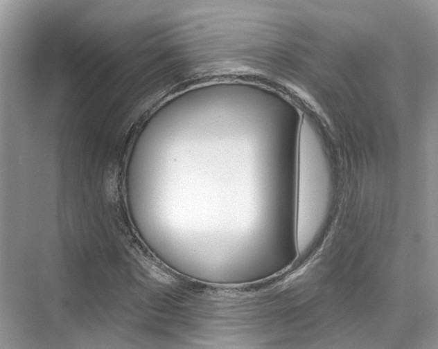 X0000076040873200609220916