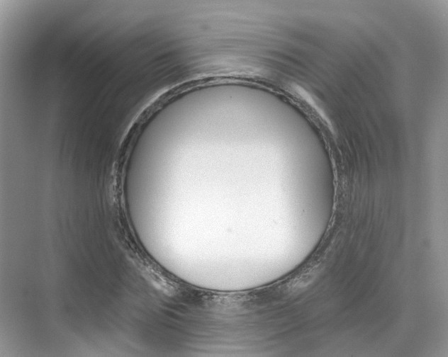 X0000076040875200609220916