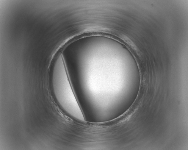 X0000076040877200609220916