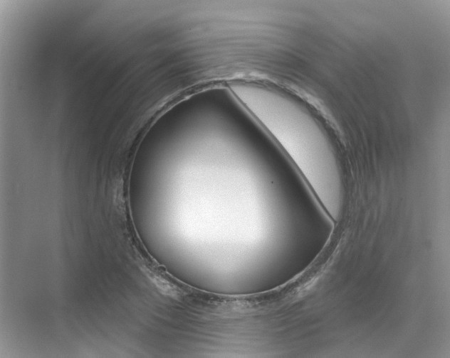X0000076040881200609220916