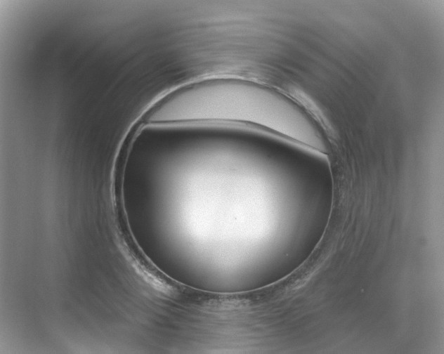 X0000076040884200609220916
