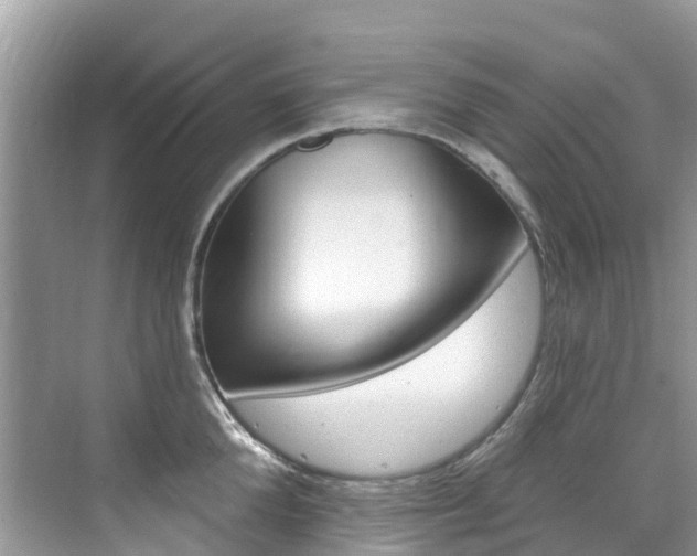 X0000076040904200609220915