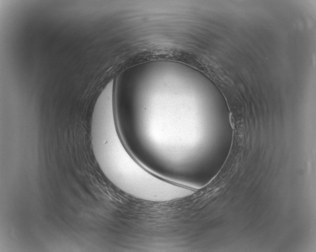 X0000076040916200609220914