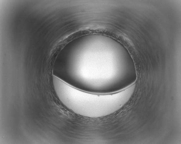 X0000076040920200609220914