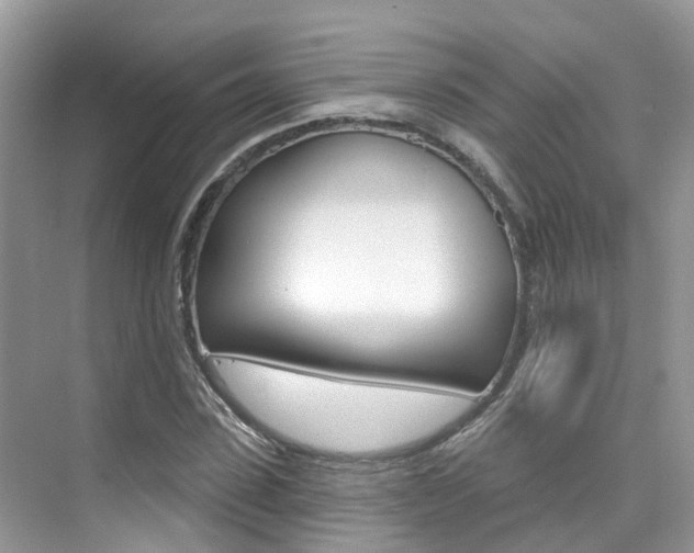 X0000076040923200609220915