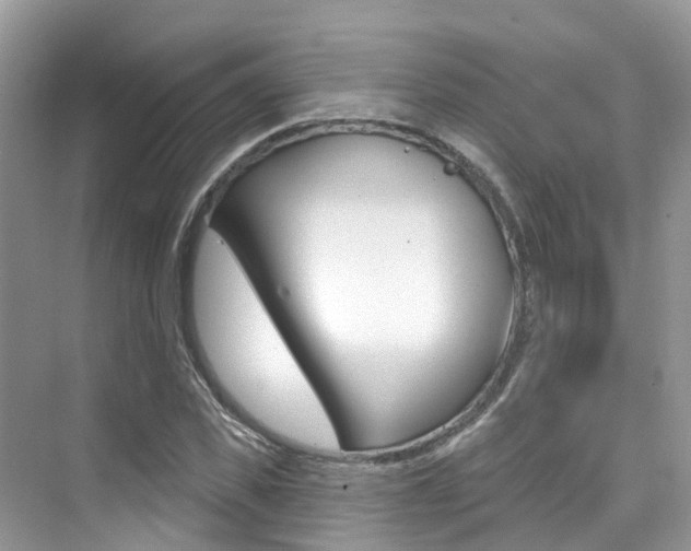 X0000076040925200609220915