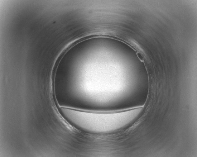 X0000076040940200609220915