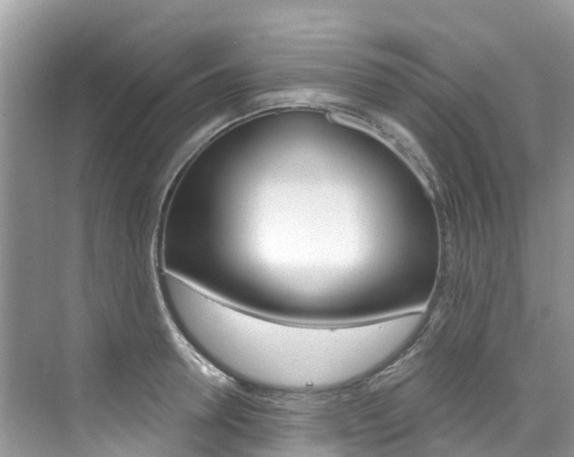 X0000076040946200609220915