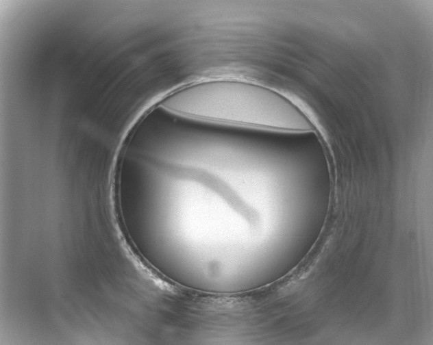 X0000076040949200609220915