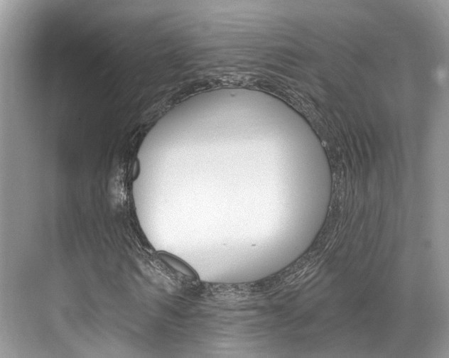 X0000076040962200609220914