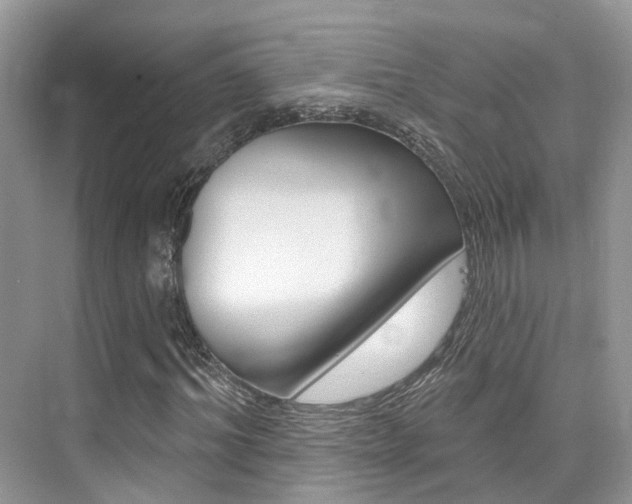 X0000076040964200609220914