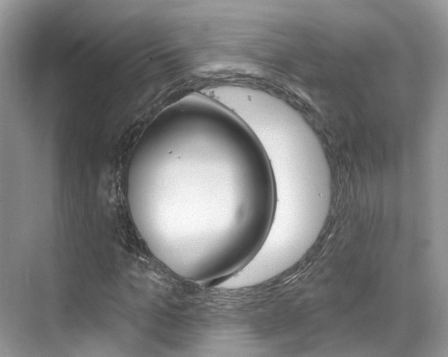 X0000076040965200609220914